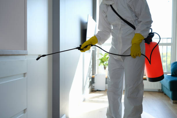 Best Certified Mold Removal  in Arlington, TX