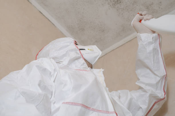 Best Residential Mold Removal  in Arlington, TX