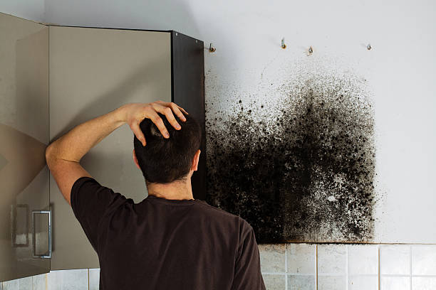 Best Attic Mold Removal  in Arlington, TX